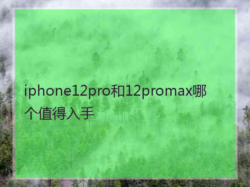 iphone12pro和12promax哪个值得入手