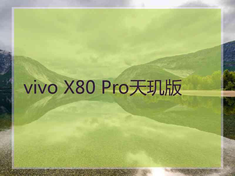 vivo X80 Pro天玑版