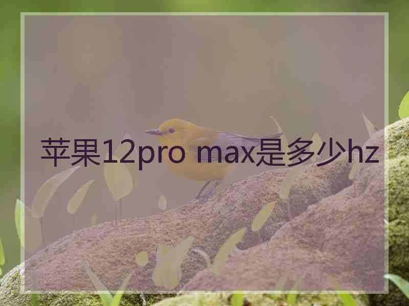 苹果12pro max是多少hz