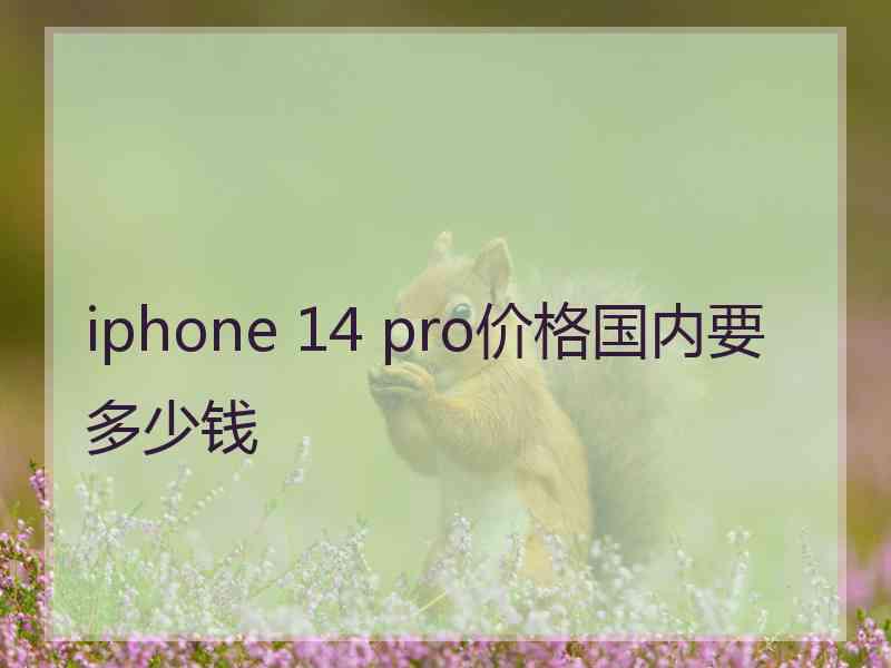 iphone 14 pro价格国内要多少钱