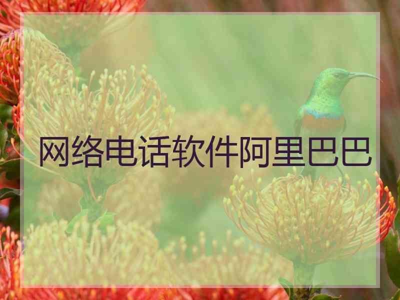 网络电话软件阿里巴巴