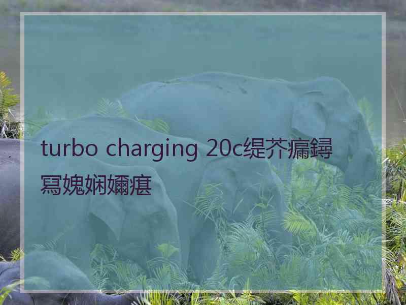 turbo charging 20c缇芥瘺鐞冩媿娴嬭瘎