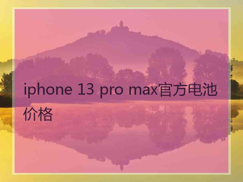 iphone 13 pro max官方电池价格