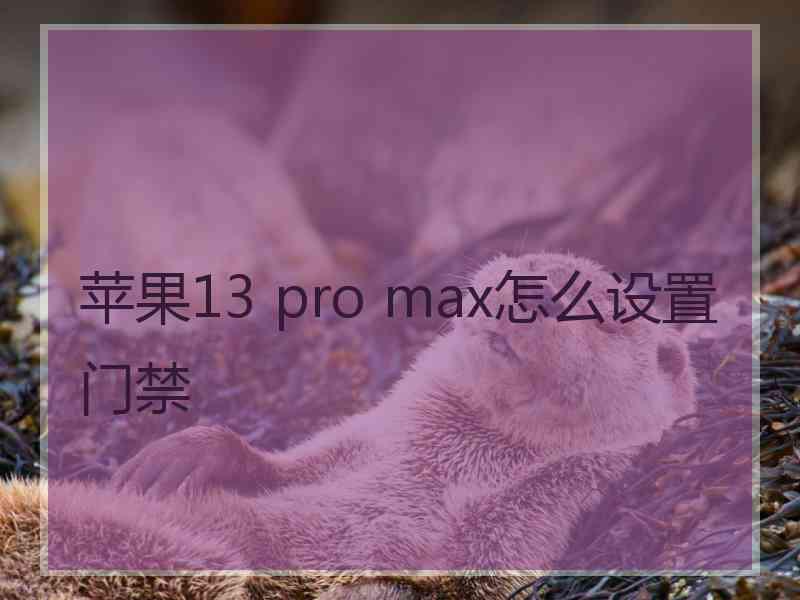 苹果13 pro max怎么设置门禁