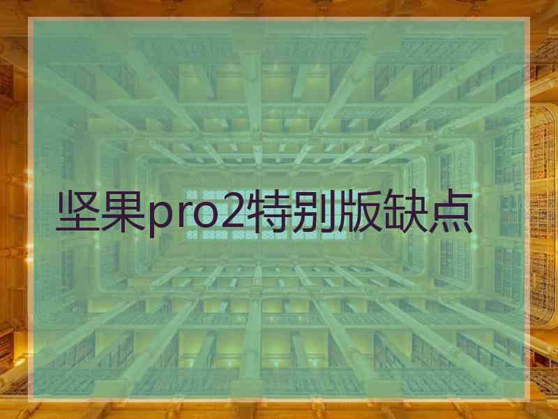 坚果pro2特别版缺点