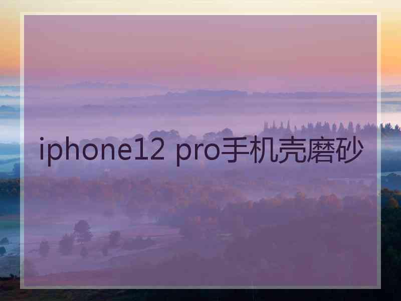 iphone12 pro手机壳磨砂