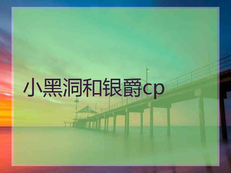 小黑洞和银爵cp