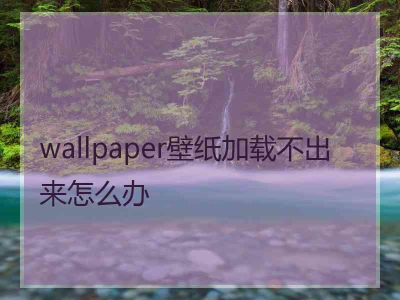 wallpaper壁纸加载不出来怎么办