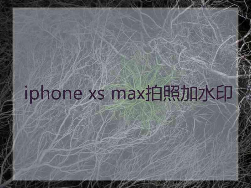 iphone xs max拍照加水印