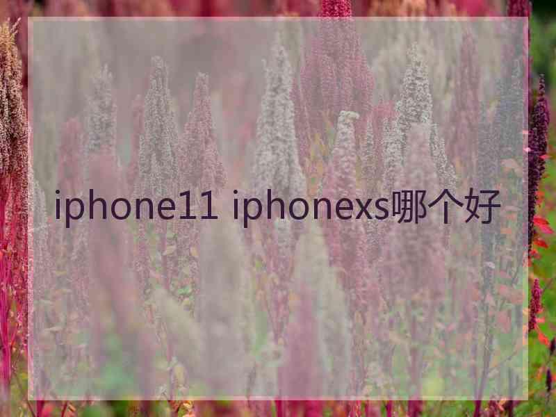 iphone11 iphonexs哪个好