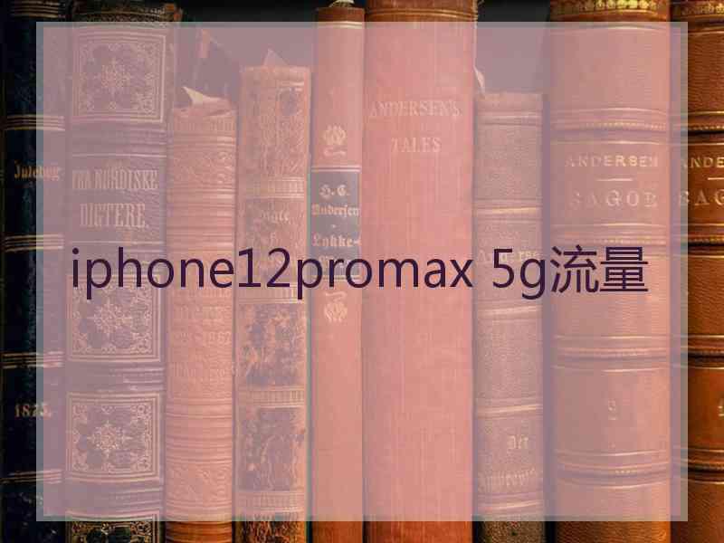 iphone12promax 5g流量