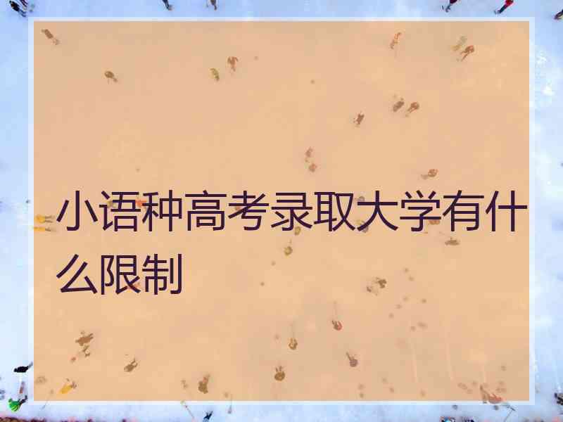 小语种高考录取大学有什么限制