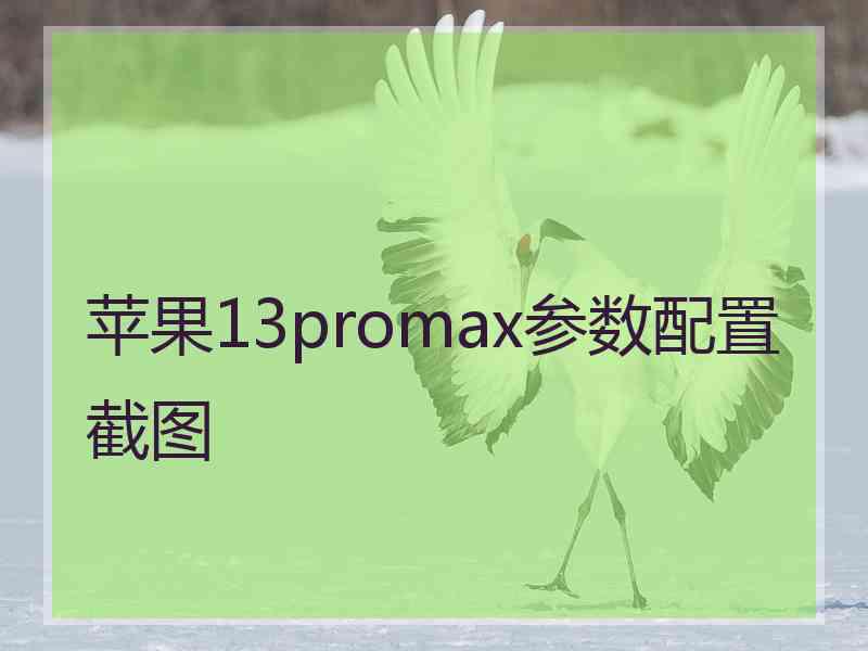 苹果13promax参数配置截图