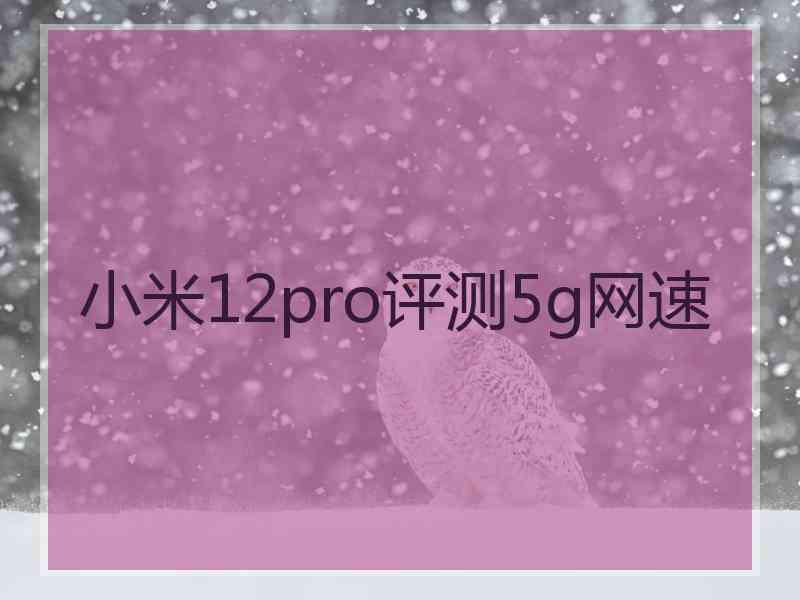 小米12pro评测5g网速