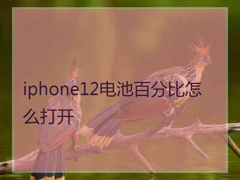 iphone12电池百分比怎么打开