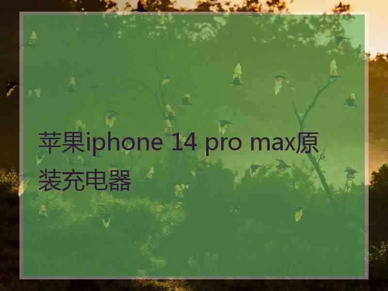 苹果iphone 14 pro max原装充电器