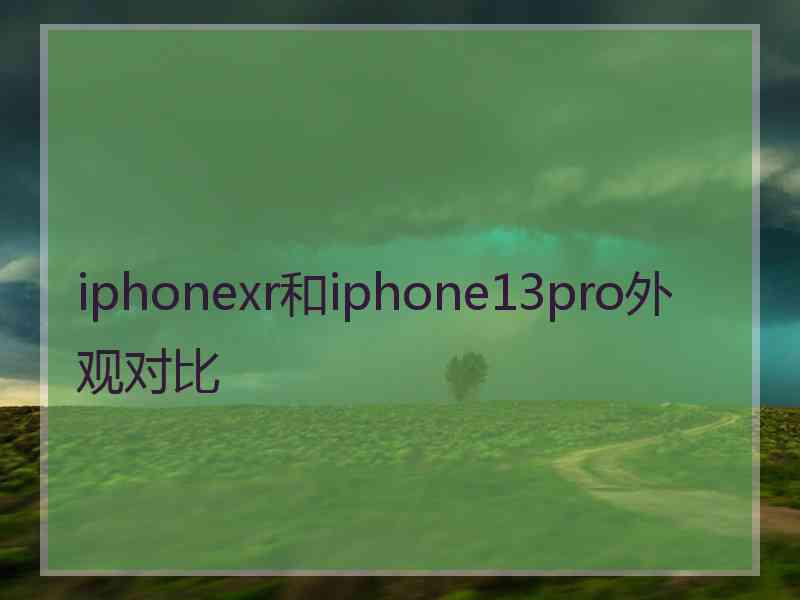 iphonexr和iphone13pro外观对比