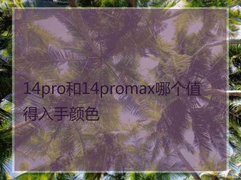 14pro和14promax哪个值得入手颜色