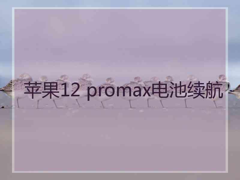 苹果12 promax电池续航