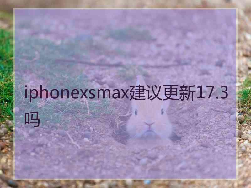 iphonexsmax建议更新17.3吗