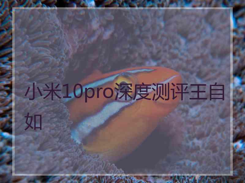 小米10pro深度测评王自如