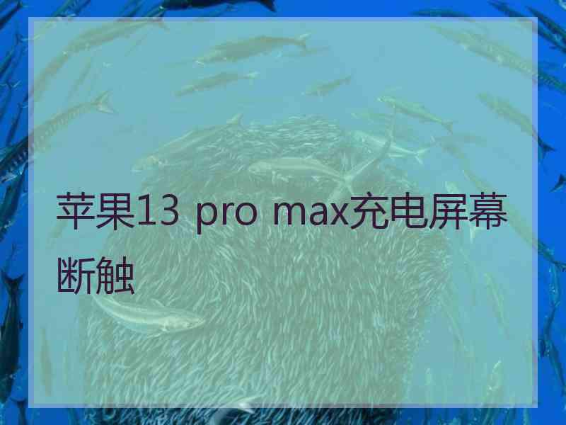 苹果13 pro max充电屏幕断触