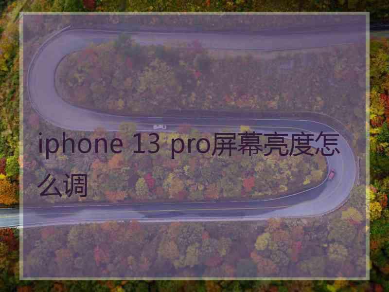 iphone 13 pro屏幕亮度怎么调