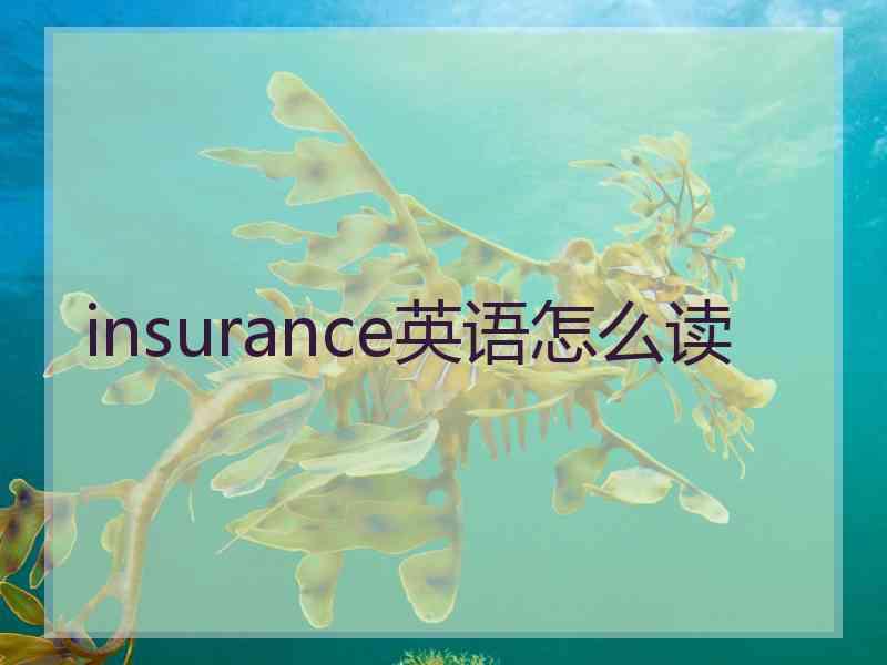 insurance英语怎么读