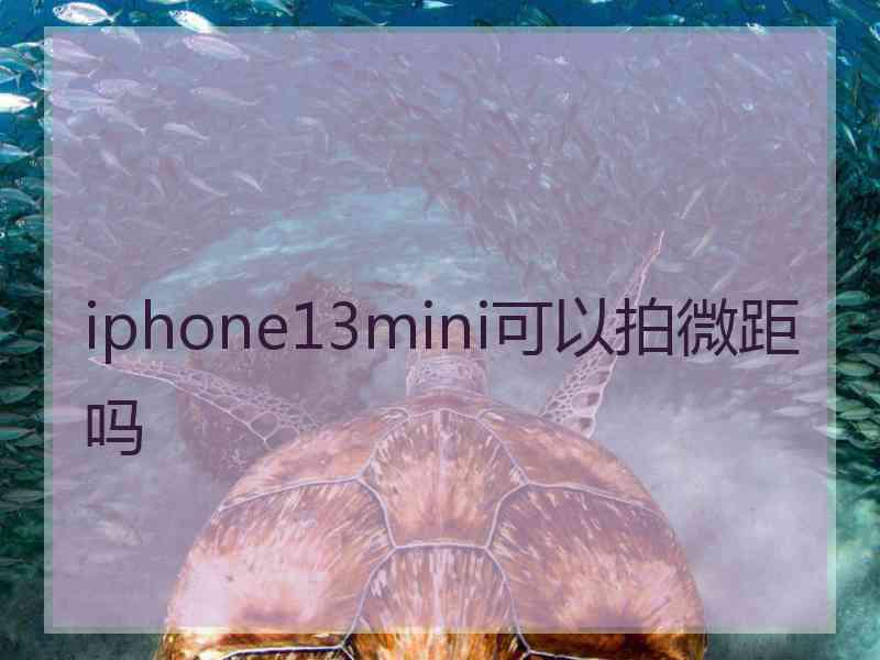 iphone13mini可以拍微距吗