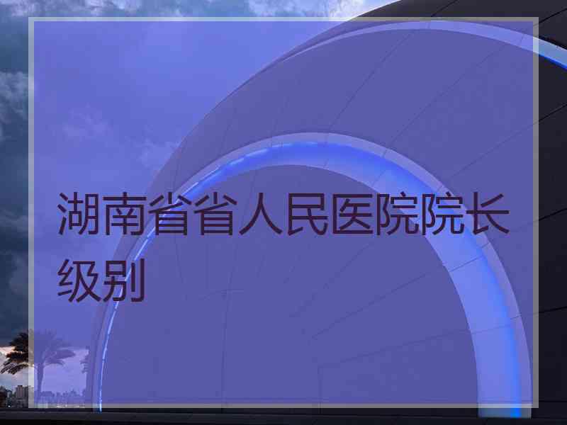 湖南省省人民医院院长级别