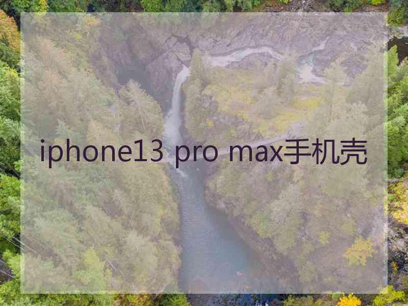 iphone13 pro max手机壳