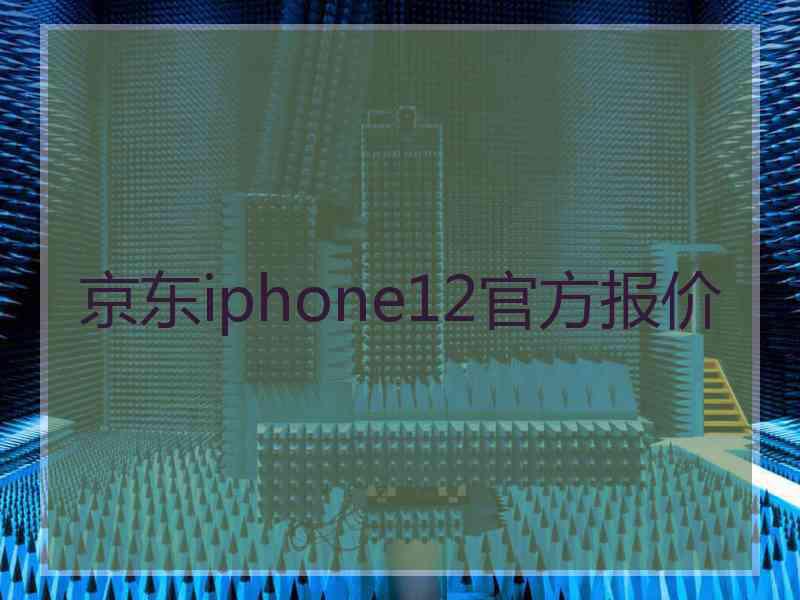 京东iphone12官方报价