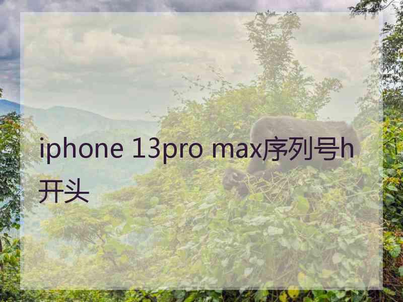 iphone 13pro max序列号h开头