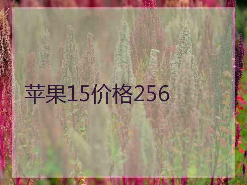 苹果15价格256