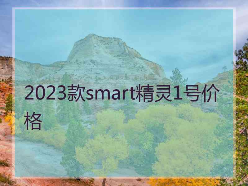 2023款smart精灵1号价格