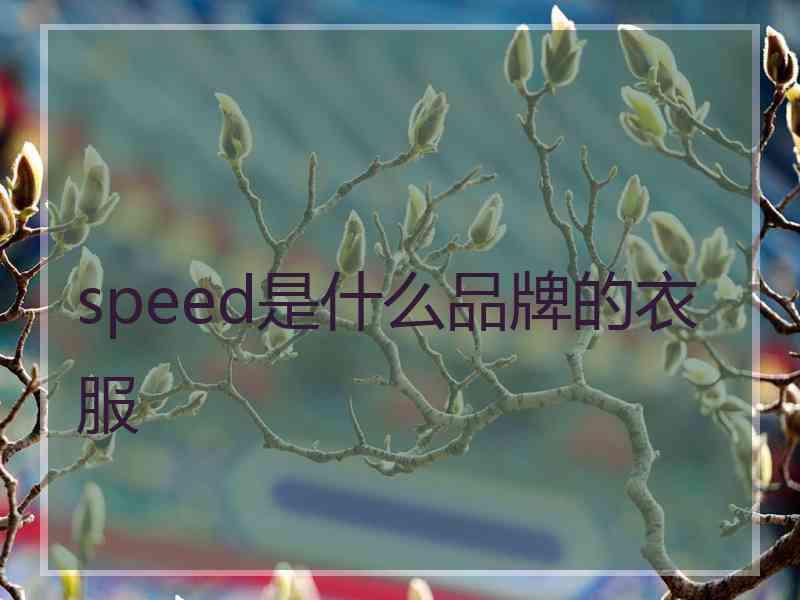 speed是什么品牌的衣服