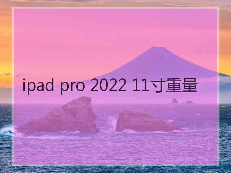 ipad pro 2022 11寸重量