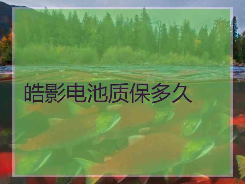 皓影电池质保多久