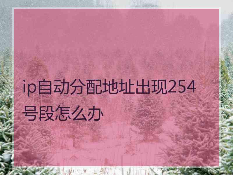 ip自动分配地址出现254号段怎么办