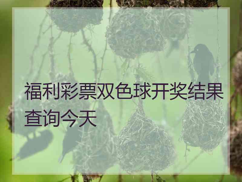 福利彩票双色球开奖结果查询今天