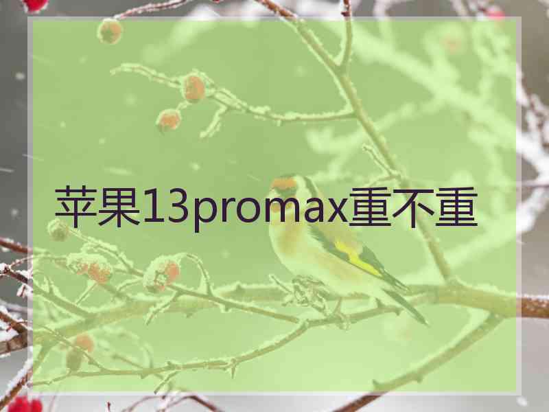 苹果13promax重不重