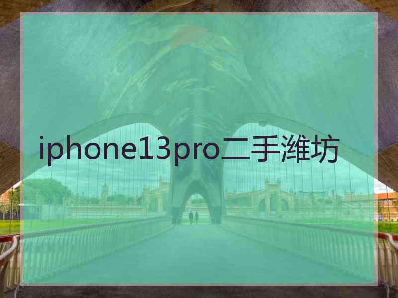 iphone13pro二手潍坊