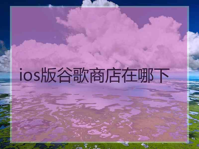 ios版谷歌商店在哪下