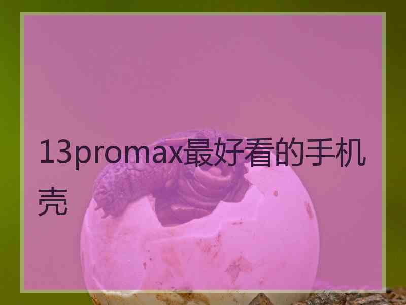 13promax最好看的手机壳