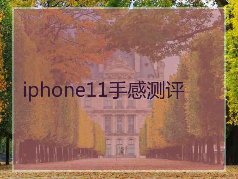 iphone11手感测评