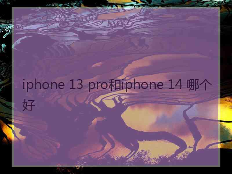 iphone 13 pro和iphone 14 哪个好