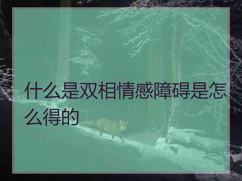 什么是双相情感障碍是怎么得的