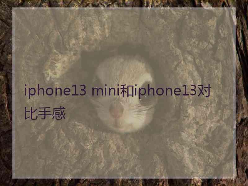 iphone13 mini和iphone13对比手感