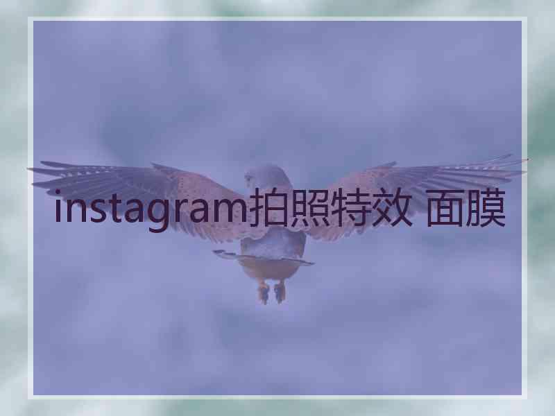 instagram拍照特效 面膜