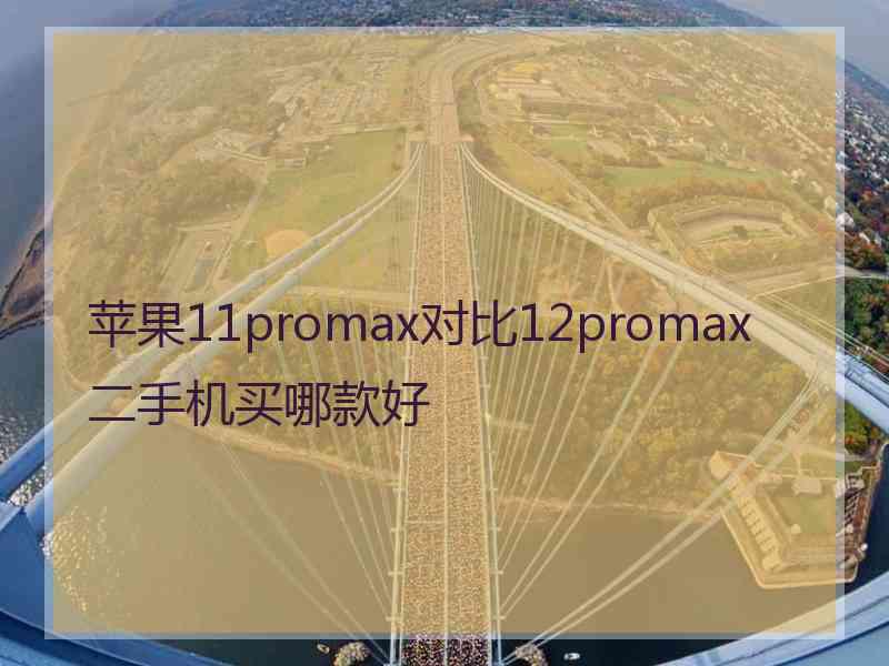 苹果11promax对比12promax二手机买哪款好